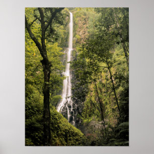 Affiche Costa Rica, île Cocos, cascade de Wafer Bay
