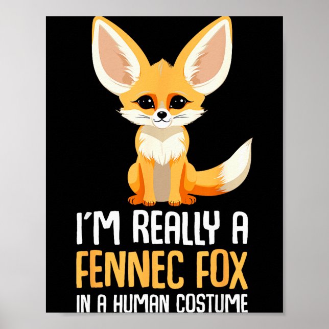 Affiche Costume de renard fennec filles renard  (Devant)