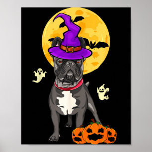 Affiche Costume de sorcière d'Halloween pour chien bouledo