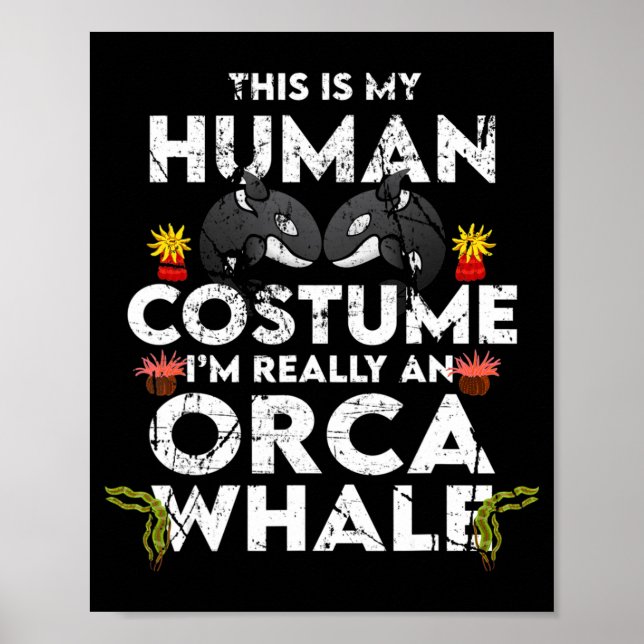 Affiche Costume Hilarié Orca Halloween (Devant)