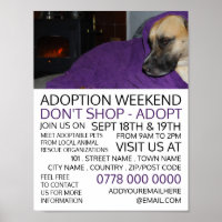 Cosy Dog, Pet Adoption Evénement Publicité