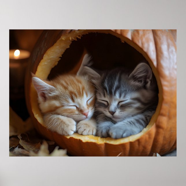 Affiche Cosy Kittens Snuggle dans un Citrouille (Devant)