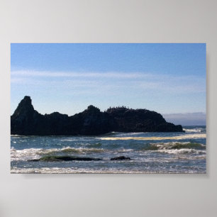 Affiche Côte à Seal Rock OR