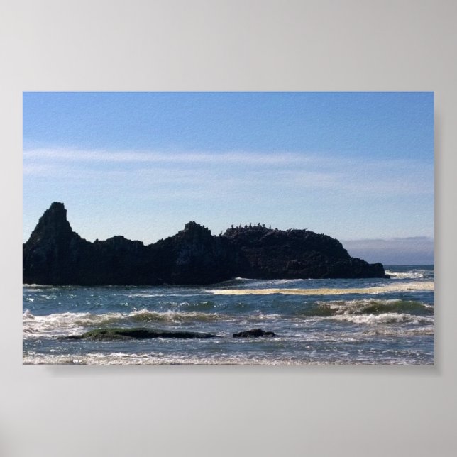 Affiche Côte à Seal Rock OR (Devant)