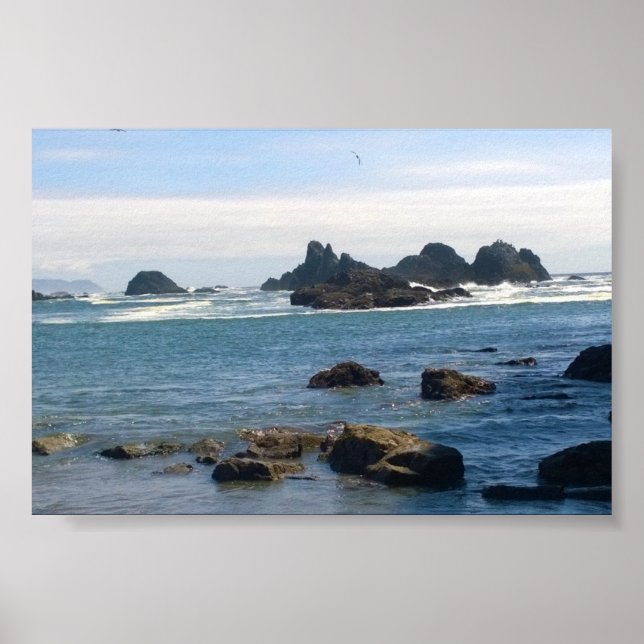 Affiche Côte à Seal Rock OR (Devant)