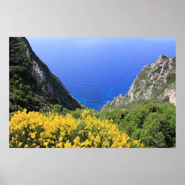 Affiche Côte colorée (Devant)