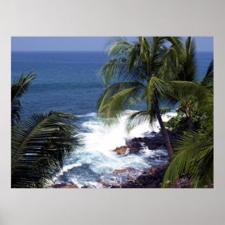 Affiche Côte de Kona 2