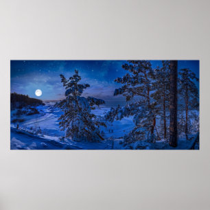 Affiche Côte de la mer Baltique neigeuse avec sapin la nui