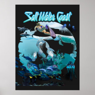 Affiche Côte de l'eau salée