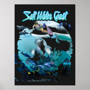 Affiche Côte d'eau salée