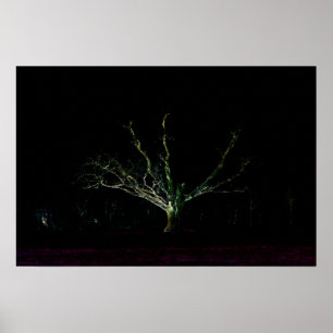 Affiche Côté foncé 1 wapcn