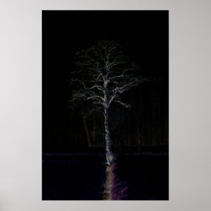 Affiche Côté foncé 3 wapcn