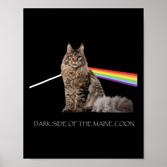 Affiche Côté Sombre De L'Amoureux des chats Du Maine Coon (Devant)