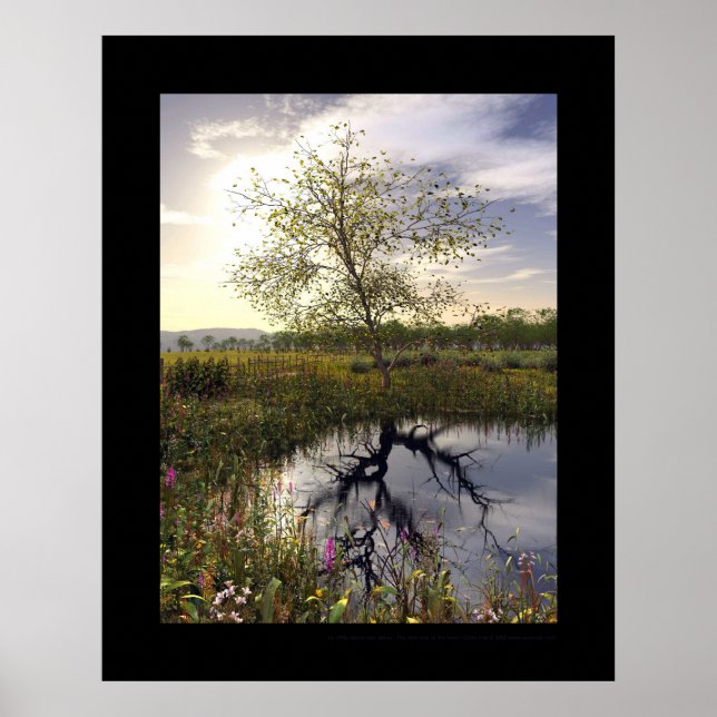 Affiche Côté sombre - Le côté obscur (Devant)