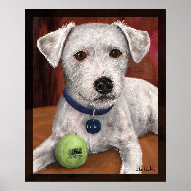 Affiche Coton (Devant)