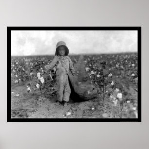 Affiche Coton de cueillette de garçon dans le Comanche, OK