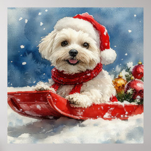 Affiche Coton De Tulear en Luge Laissez-le neiger Noël