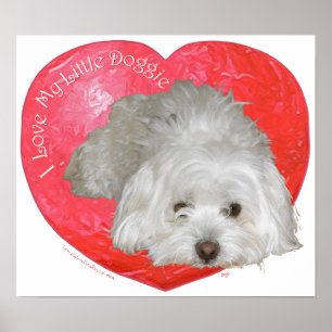 Affiche Coton de Tulear Saint-Valentin