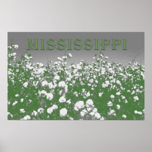 Affiche Coton du Mississippi