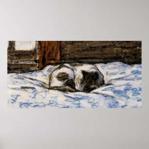 Affiche Couchage de chat sur un lit