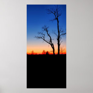 Affiche Coucher de soleil à travers les arbres