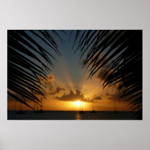 Affiche Coucher de soleil à travers les frondes de palmier