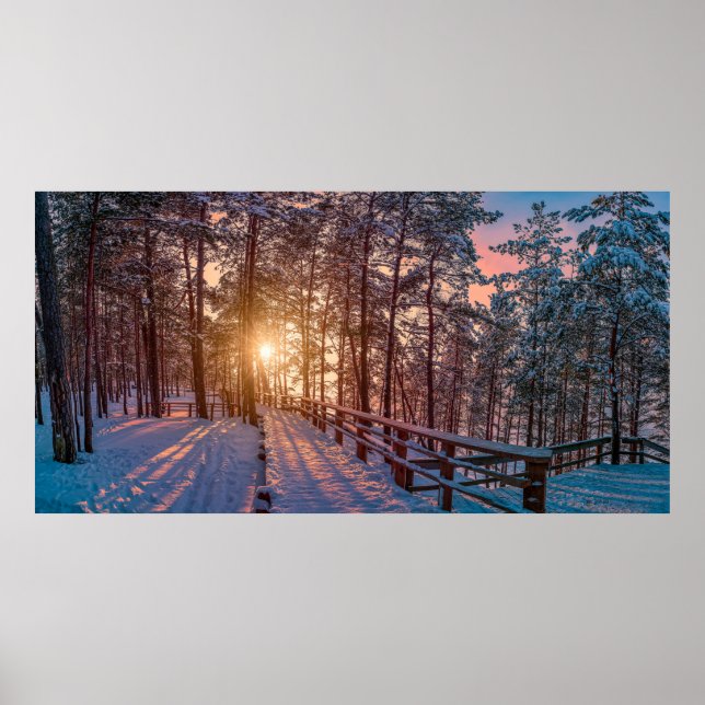 Affiche Coucher de soleil dans la pinède enneigée avec ray (Devant)
