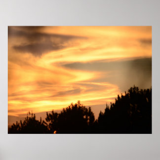 Affiche Coucher de soleil dans l'affiche de la forêt