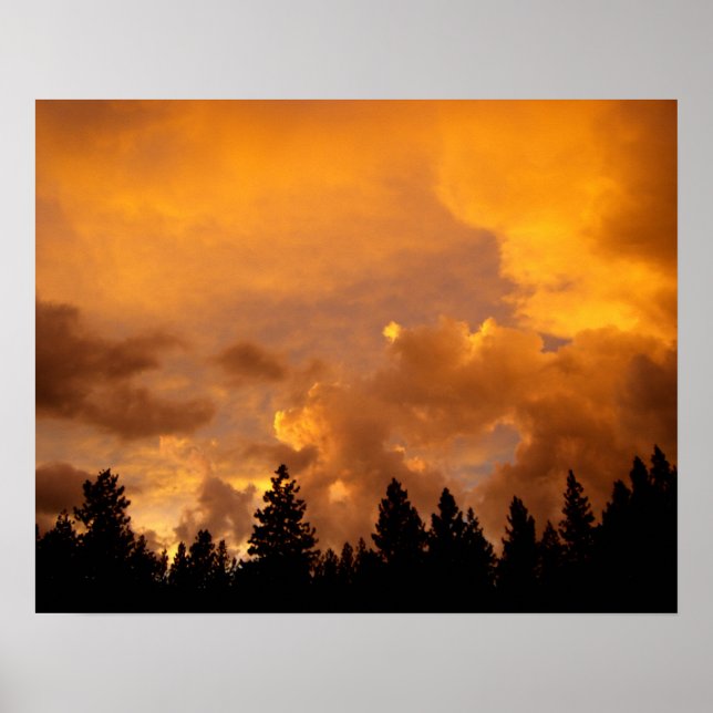 Affiche Coucher de soleil dans les Sierras (Devant)