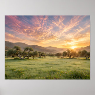 Affiche Coucher de soleil dans un oliveraie marocaine - Nu
