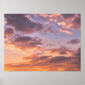 Affiche Coucher de soleil dans un oliveraie marocaine - Nu