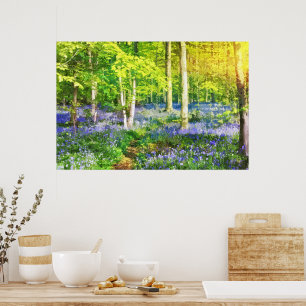 Affiche Coucher de soleil dans une forêt bleue
