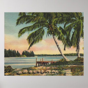 Affiche Coucher de soleil de brise tropicale vintage de co