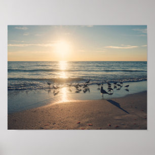 Affiche Coucher de soleil de Clearwater Beach