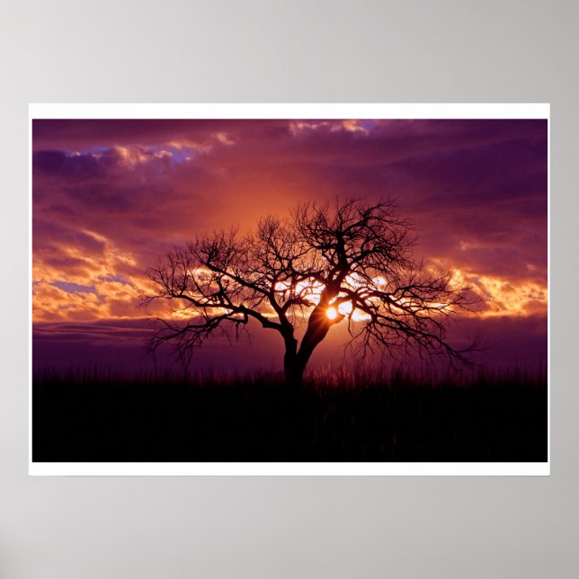 Affiche Coucher de soleil de Flint Hills (Devant)