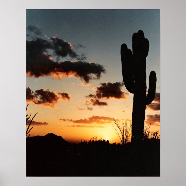 Affiche Coucher de soleil de l'Arizona (Devant)