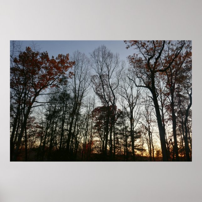 Affiche Coucher de soleil de novembre (Devant)