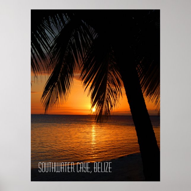 Affiche Coucher de soleil de palmier tropical à Belize (Devant)