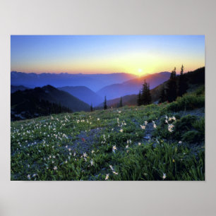 Affiche Coucher de soleil de Point d'obstruction, Pôle ol