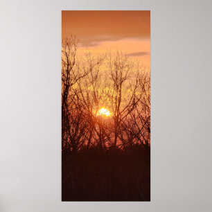 Affiche Coucher de soleil derrière les arbres