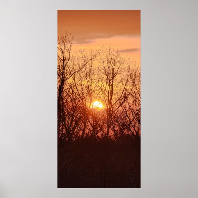 Affiche Coucher de soleil derrière les arbres (Devant)