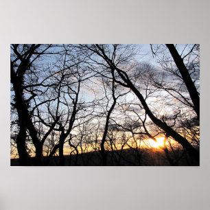 Affiche Coucher de soleil derrière les arbres