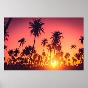 Affiche Coucher de soleil des arbres tropicaux