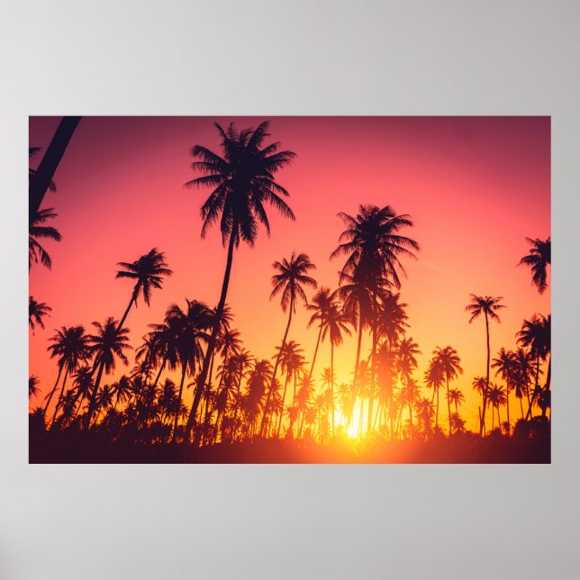 Affiche Coucher de soleil des arbres tropicaux (Devant)