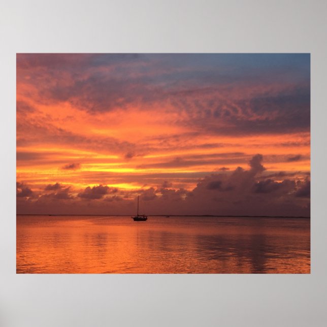 Affiche Coucher de soleil des Everglades (Devant)