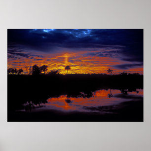 Affiche Coucher de soleil des Everglades