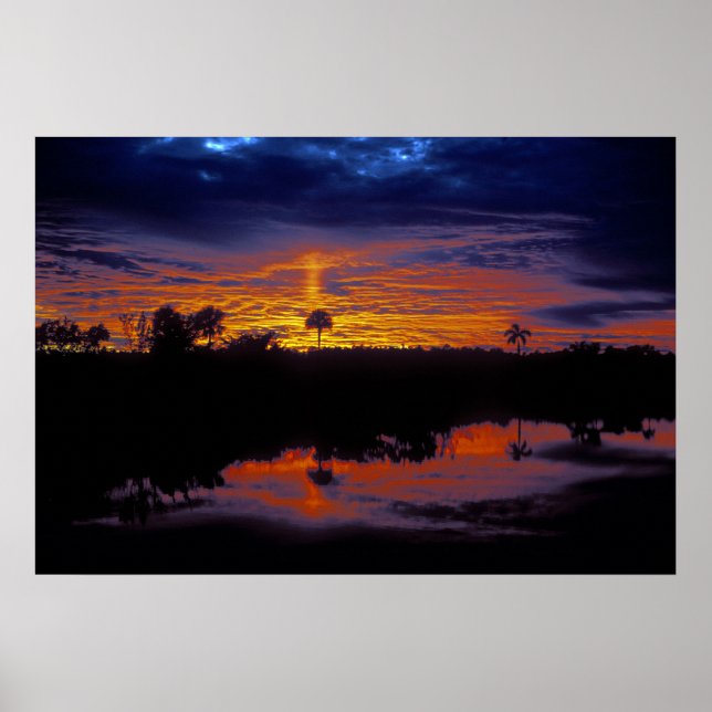 Affiche Coucher de soleil des Everglades (Devant)