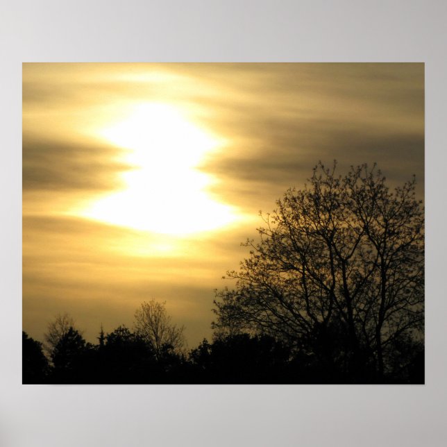 Affiche Coucher de soleil doré avec arbres silhoués (Devant)