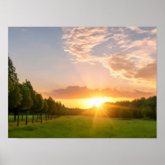 Affiche Coucher de soleil doré sur champ vert avec allée d