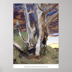 Affiche Coucher de soleil du Colorado